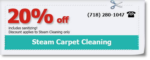 steam carpet cleaning 20% off