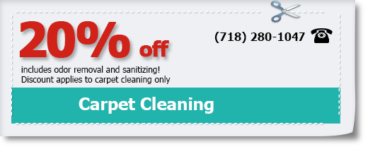 carpet cleaning 20% off